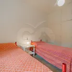 Villino La Cicala - Goelba Apartamento Procchio (Isola d'Elba)